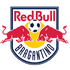 Escudo do time Red Bull Bragantino